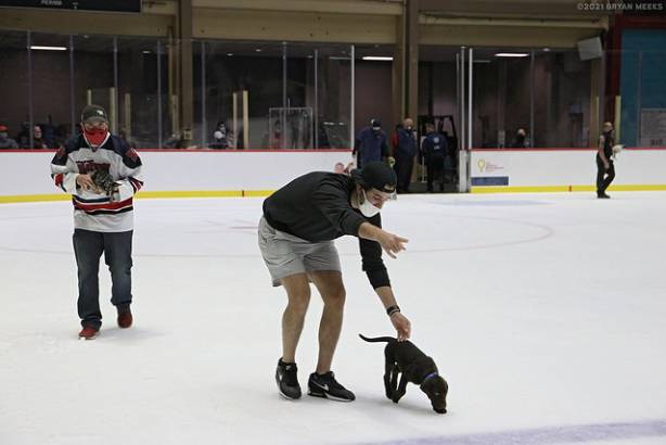 Macon Mayhem 210403_DN_IMG_10137_MPH