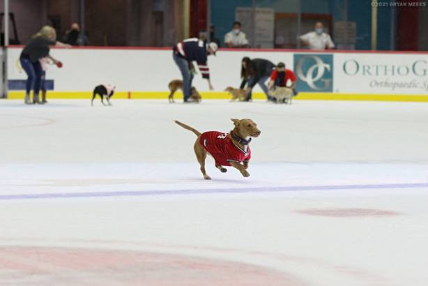 Macon Mayhem 210403_DN_IMG_1055_MPH