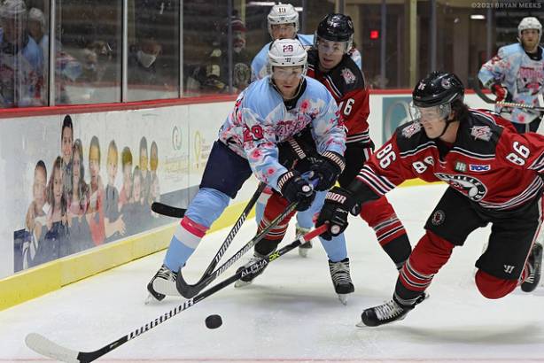 Macon Mayhem 210319_DN_IMG_0867_MPH