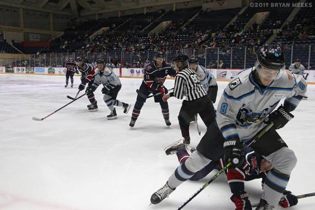 Macon Mayhem 191213_IMG_11925_MHP
