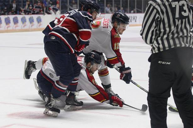 Macon Mayhem 191108_IMG_7124_MHP