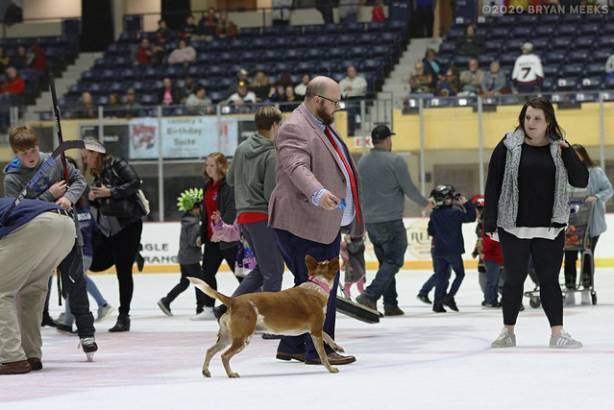 Macon Mayhem 200222_IMG_9092_MHP