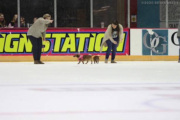 Macon Mayhem 200222_IMG_7864_MHP