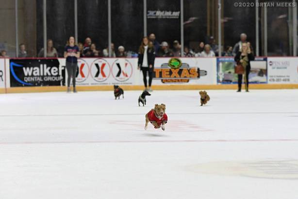 Macon Mayhem 200222_IMG_8006_MHP