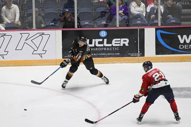 Macon Mayhem 181214_IMG_0734_MHP