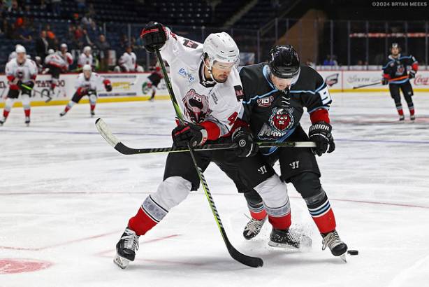 Macon Mayhem_241019_IMG_2929_MHP