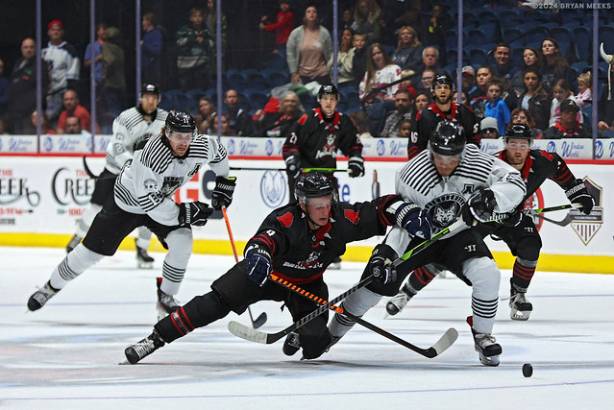 Macon Mayhem_241025_IMG_4911_MHP