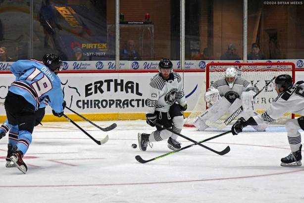 Macon Mayhem_241123_IMG_5776_MHP