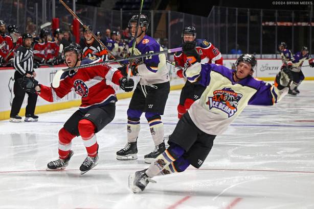 Macon Mayhem_241124_IMG_2387_MHP