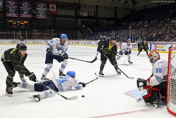 Macon Mayhem_250111_IMG_3139_MHP