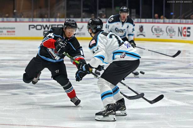 Macon Mayhem_250124_IMG_2638_MHP