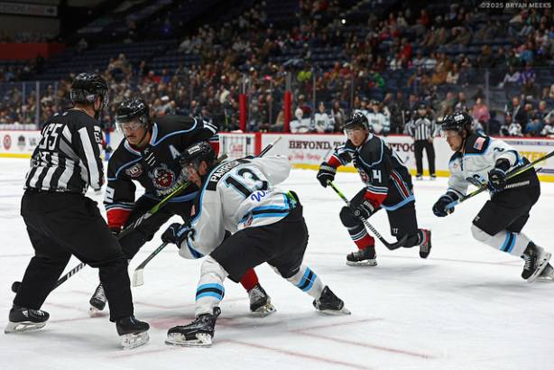 Macon Mayhem_250124_IMG_2125_MHP