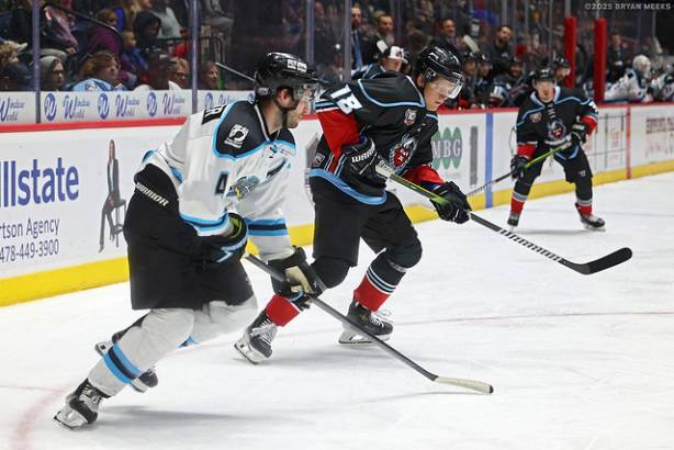 Macon Mayhem_250124_IMG_2930_MHP