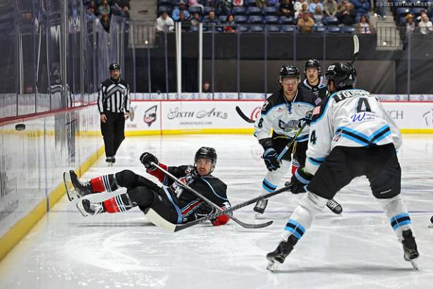 Macon Mayhem_250124_IMG_1203_MHP