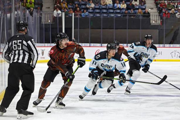 Macon Mayhem_250125_IMG_1705_MHP