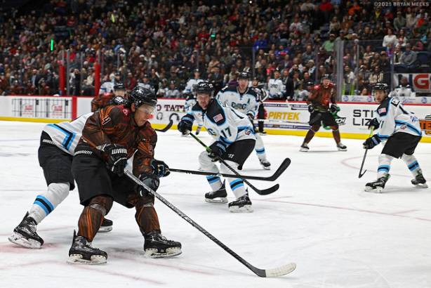 Macon Mayhem_250125_IMG_2144_MHP