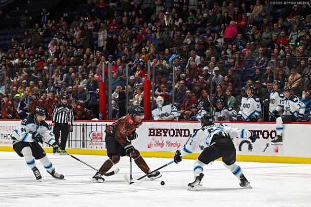 Macon Mayhem_250125_IMG_1999_MHP