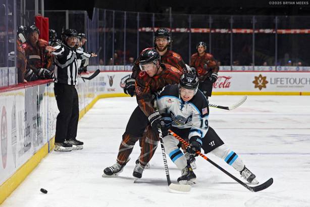 Macon Mayhem_250125_IMG_4065_MHP