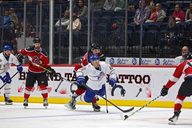 Macon Mayhem_250202_IMG_4092_MHP