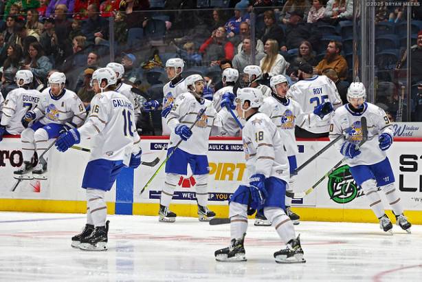 Macon Mayhem_250221_IMG_4732_MHP