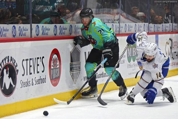 Macon Mayhem_250222_IMG_1950_MHP