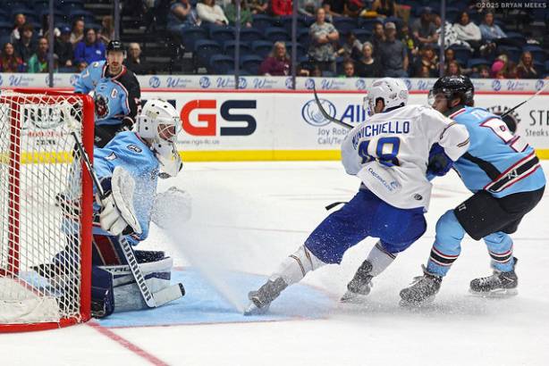 Macon Mayhem_250314_IMG_5095_MHP