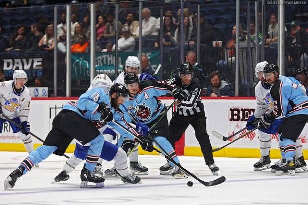 Macon Mayhem_250314_IMG_5976_MHP