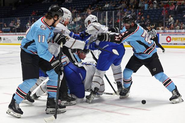 Macon Mayhem_250314_IMG_5880_MHP