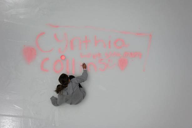 Macon Mayhem_250320_Paint the Ice_IMG_0191