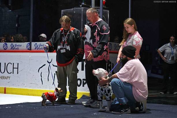 Macon Mayhem_250322_IMG_3029_MHP