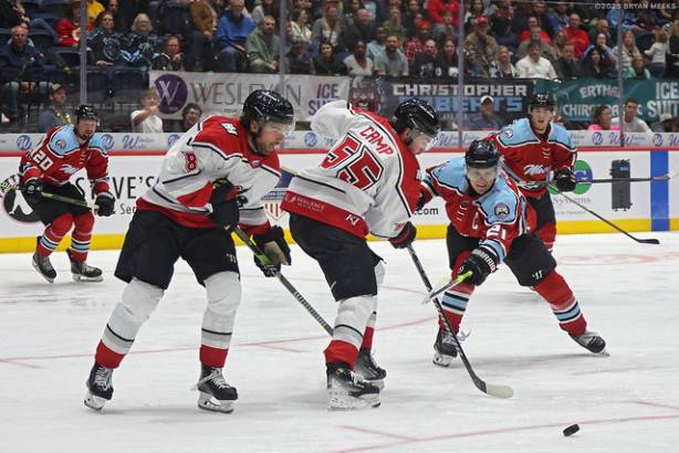 Macon Mayhem_251025_IMG_7618_MHP