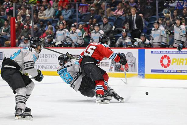 Macon Mayhem_251129_IMG_5505_MHP