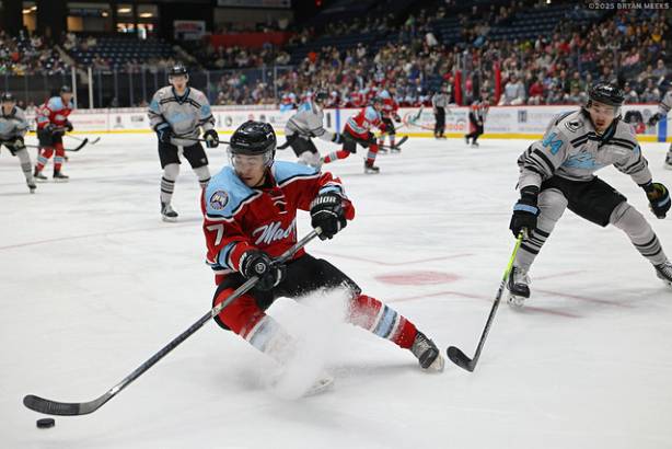 Macon Mayhem_251129_IMG_1497_MHP