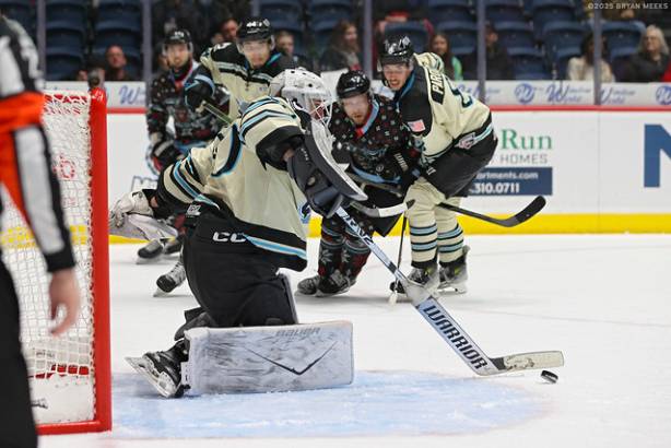 Macon Mayhem_251220_IMG_3329_MHP