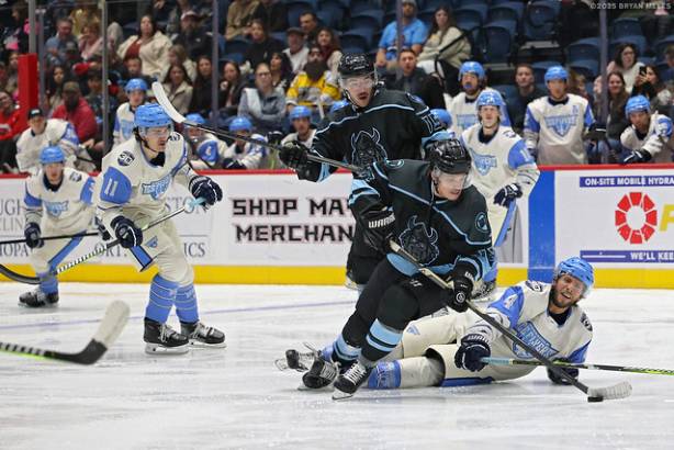 Macon Mayhem_251231_IMG_1075_MHP