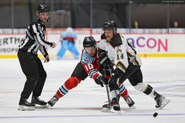 Macon Mayhem_260102_IMG_1703_MHP