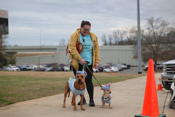 Macon Mayhem_260117_IMG_0237