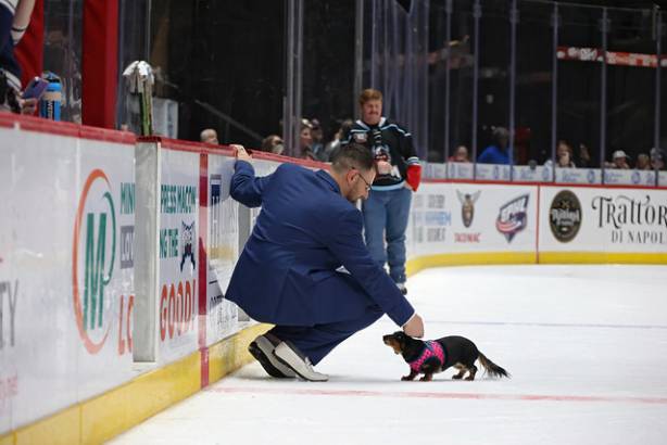 Macon Mayhem_260117_IMG_2400