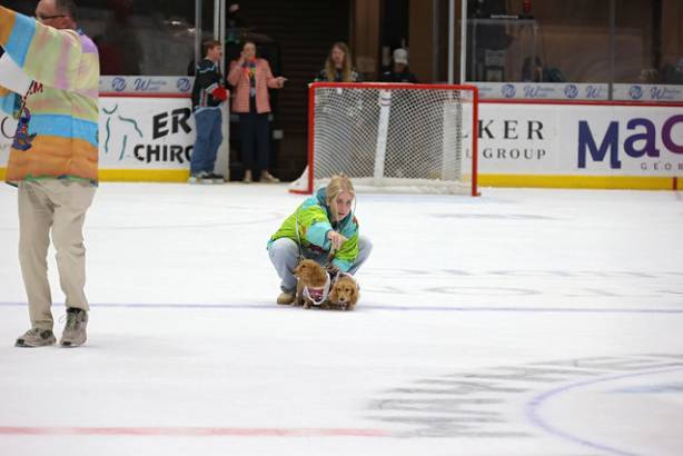 Macon Mayhem_260117_IMG_2346