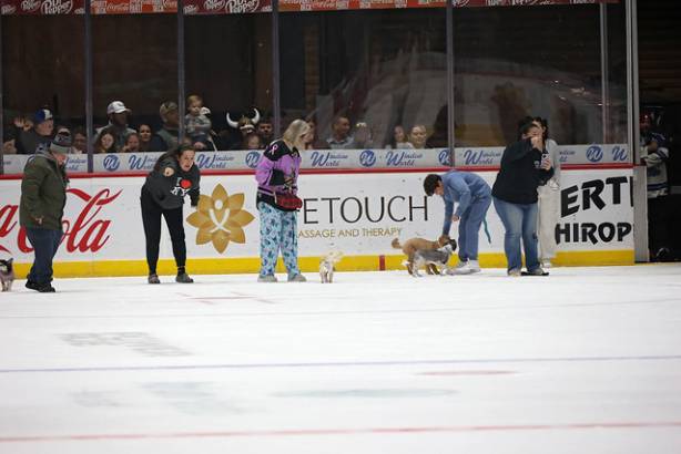 Macon Mayhem_260117_IMG_2244