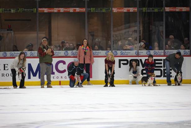 Macon Mayhem_260117_IMG_2222