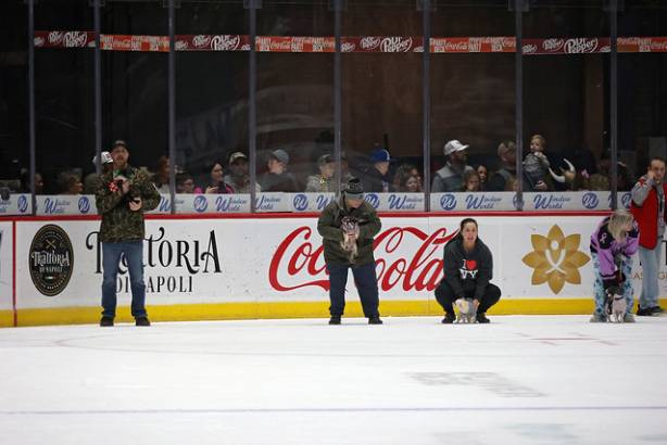 Macon Mayhem_260117_IMG_2218