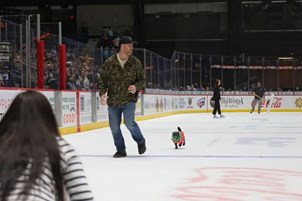 Macon Mayhem_260117_IMG_3538