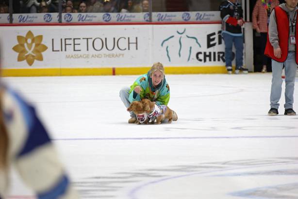 Macon Mayhem_260117_IMG_2362