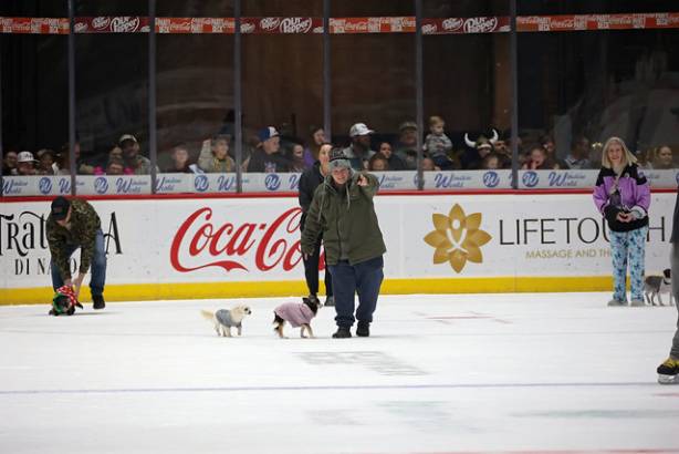 Macon Mayhem_260117_IMG_2263