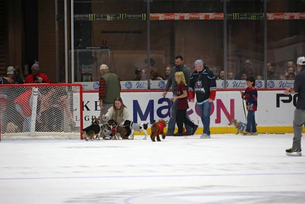 Macon Mayhem_260117_IMG_2249