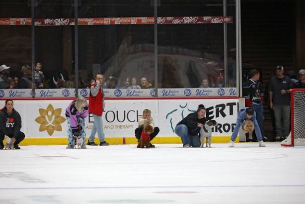 Macon Mayhem_260117_IMG_2219