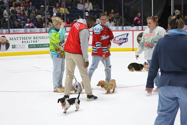 Macon Mayhem_260117_IMG_3570