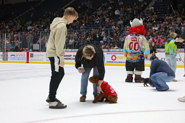 Macon Mayhem_260117_IMG_3567