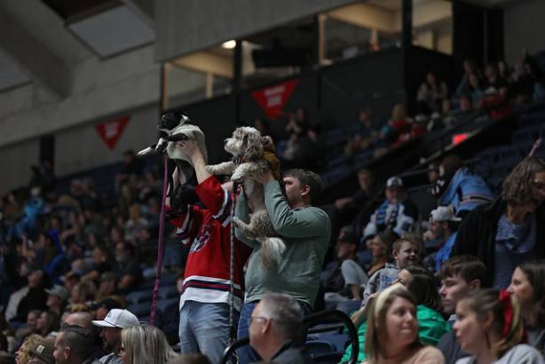 Macon Mayhem_260117_IMG_4286